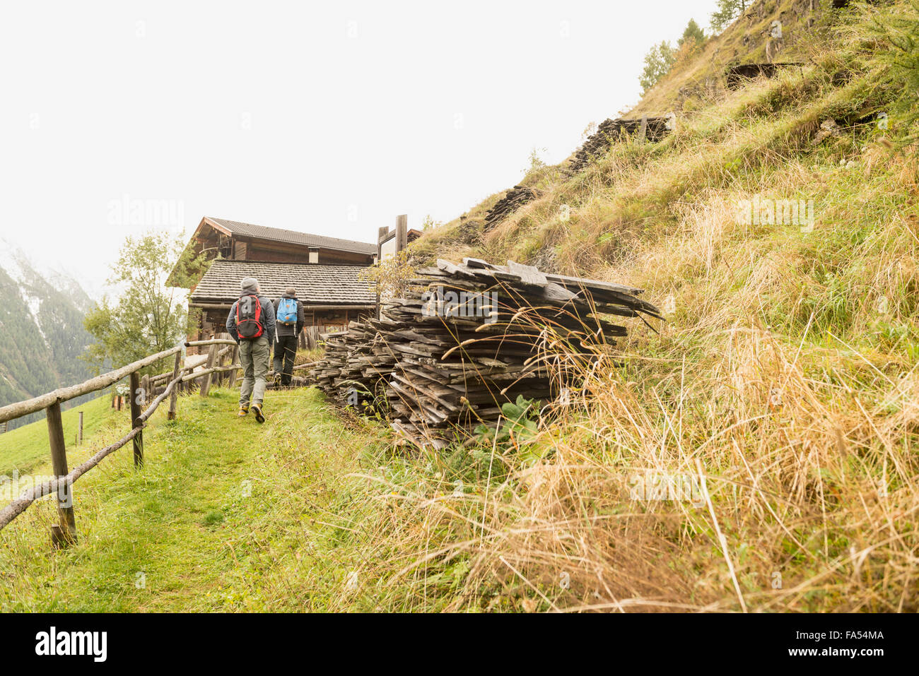 Vue arrière de deux randonneurs marche sur sentier, alpes autrichiennes, Carinthie, Autriche Banque D'Images