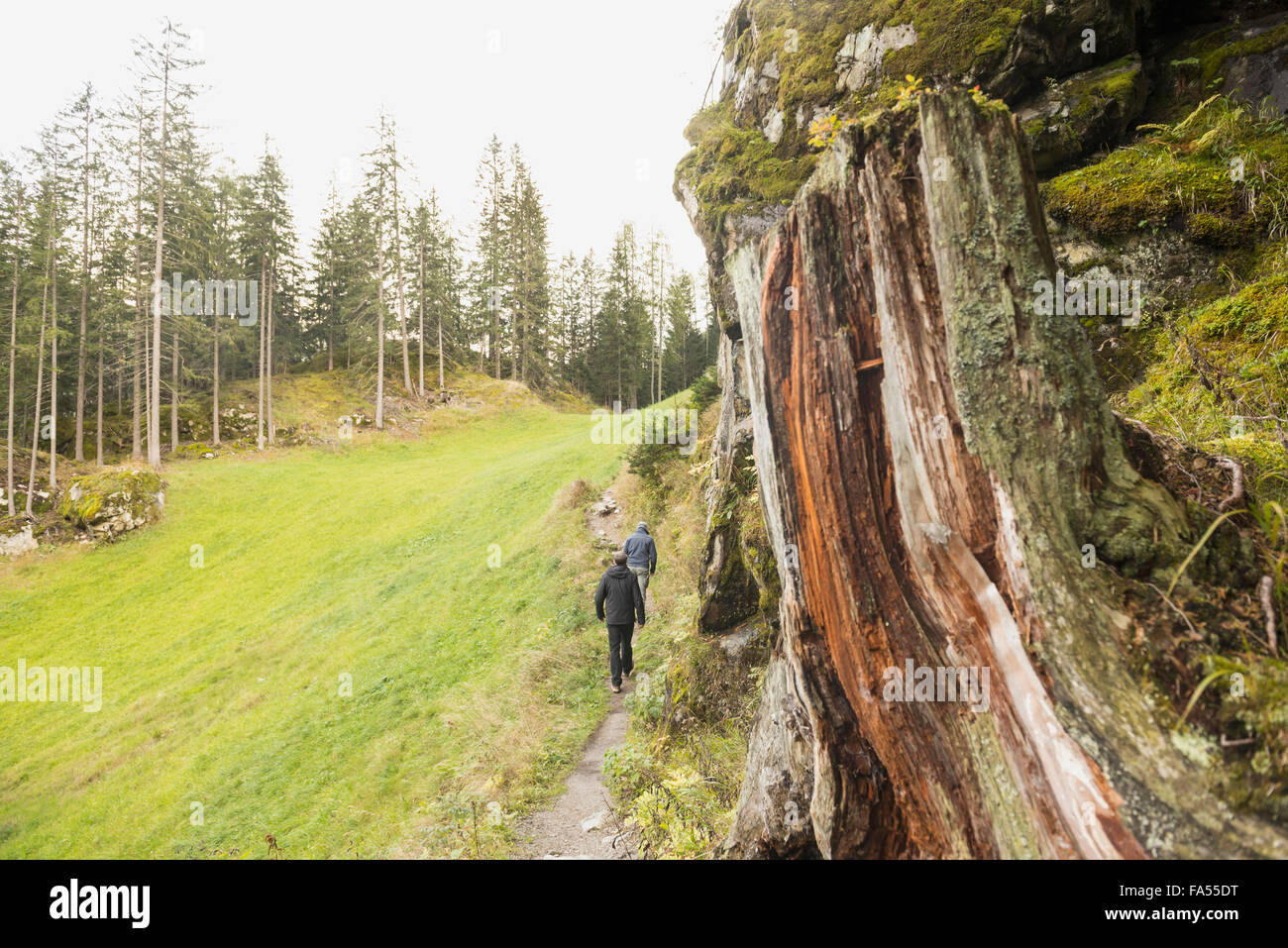 Deux Randonneurs marchant dans la forêt, Alpes autrichiennes, Carinthie, Autriche Banque D'Images