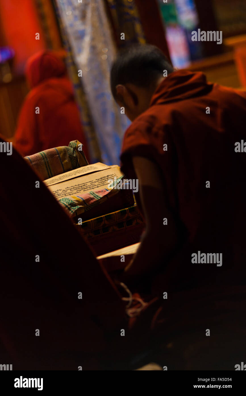 Un jeune garçon tibétain vêtements rouge dans la lecture des écritures l'étude des textes bouddhistes dans un monastère de devenir un moine Banque D'Images