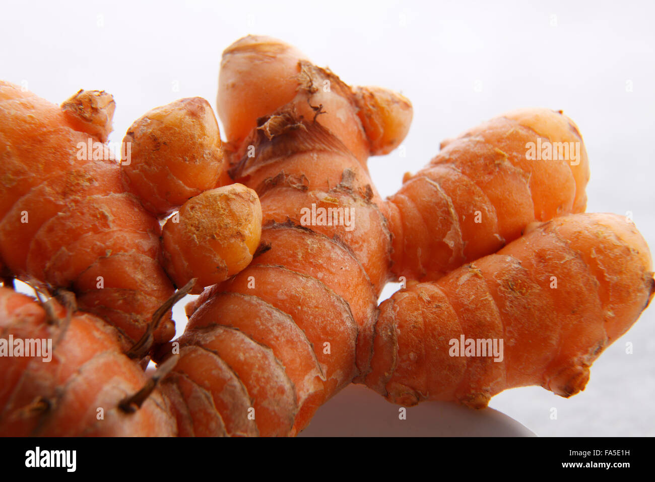 Le curcuma isolé en fond blanc Banque D'Images
