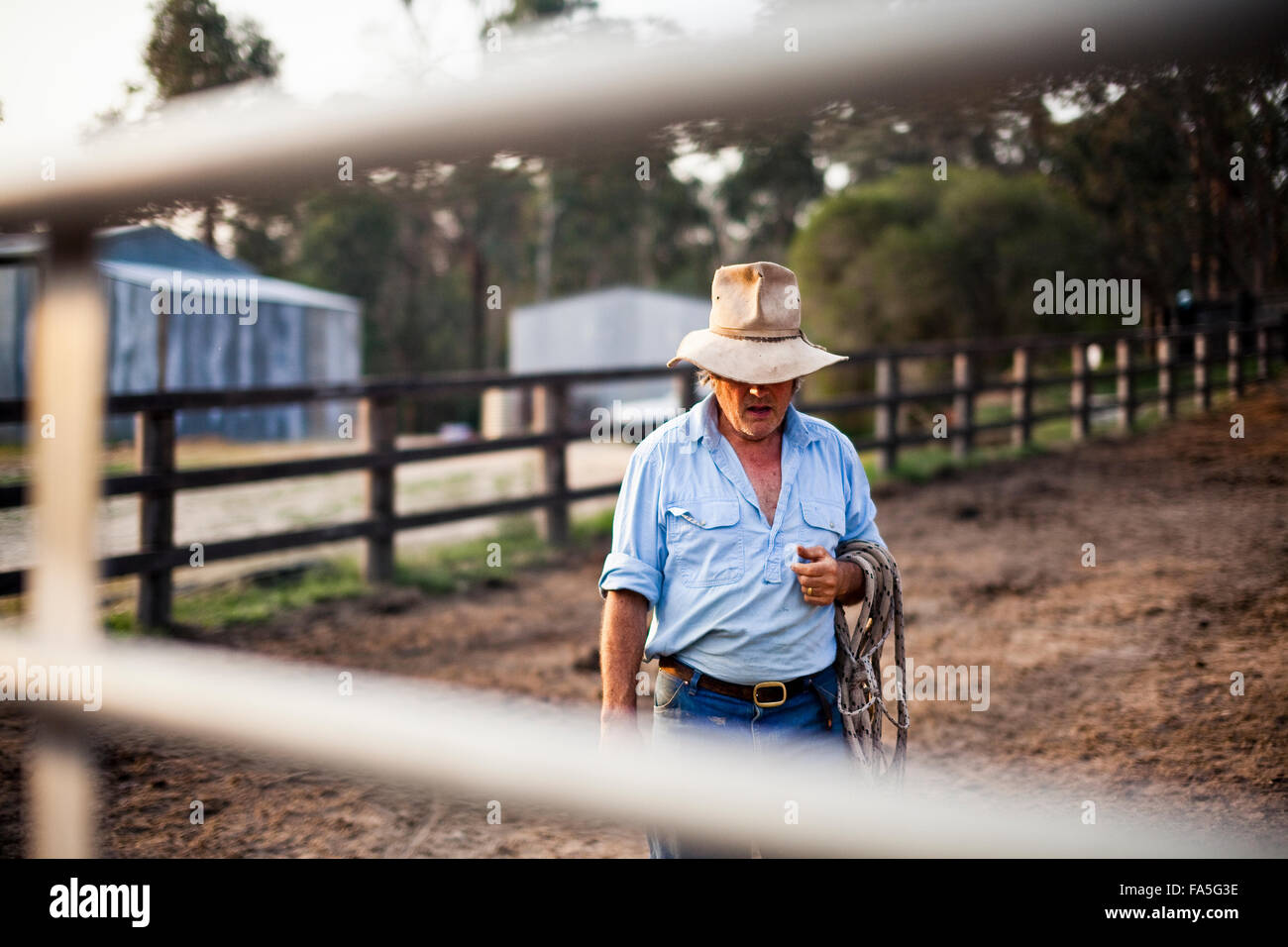 Australian stockman et haut pays tourisme entrepreneur, Steve Baird, dans la cour à cheval printemps éperon. Banque D'Images