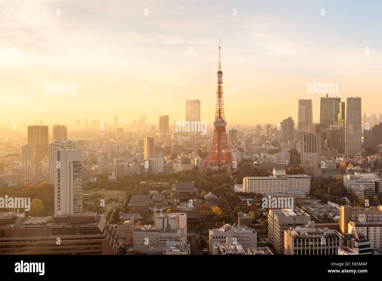 Tokyo, Japon - 12 déc 2015 : vue de la nuit de Tokyo Tokyo Skylines.est à la fois la capitale et la plus grande ville du Japon. Banque D'Images