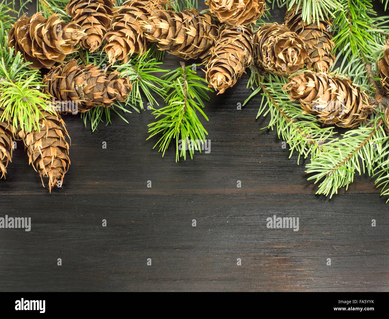 Cônes de pin fond de Noël avec des branches de sapins Banque D'Images