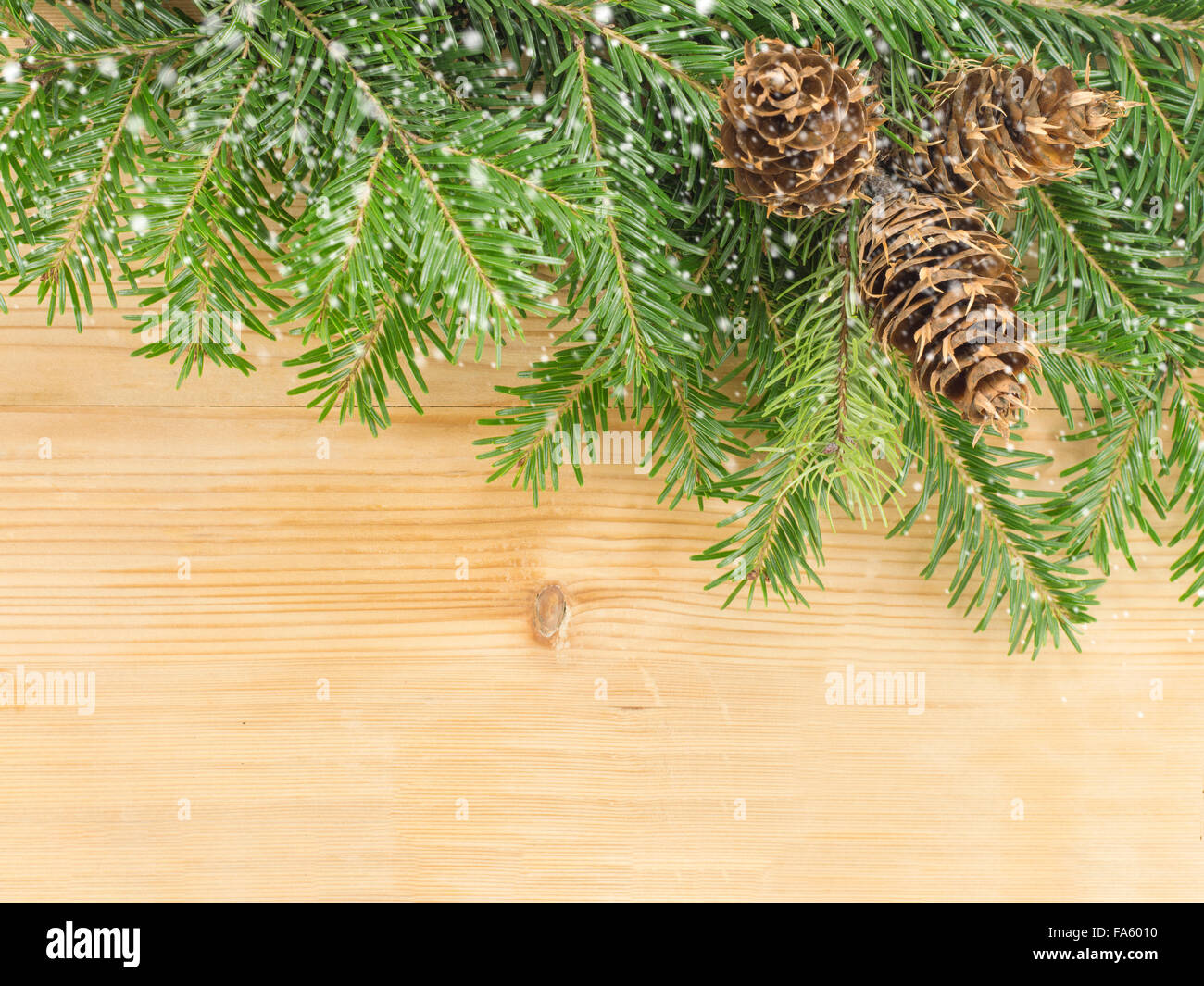 Cônes de pin fond de Noël avec des branches de sapins Banque D'Images