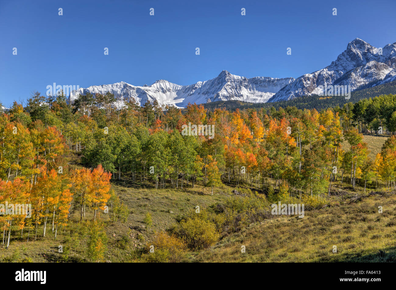 Couleurs d'automne, la sortie de l'autoroute 62, au nord de Ouray, Colorado, USA Banque D'Images