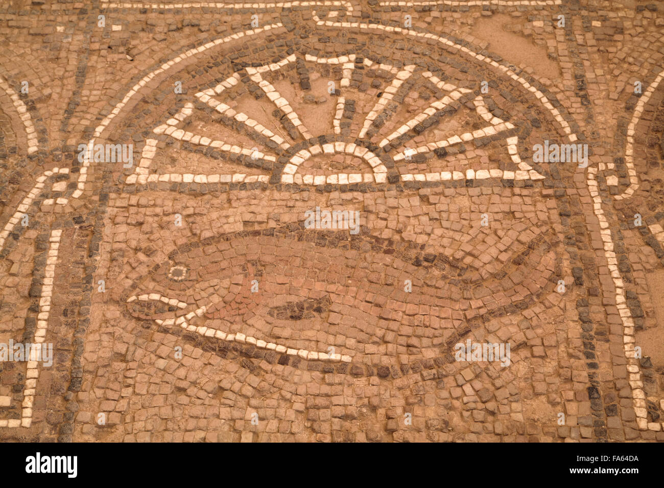 Sols en mosaïques, Petra Church (également connu sous le nom de l'Église Byzantine), construit entre le 5e et 7e siècle, Petra, Jordanie Banque D'Images