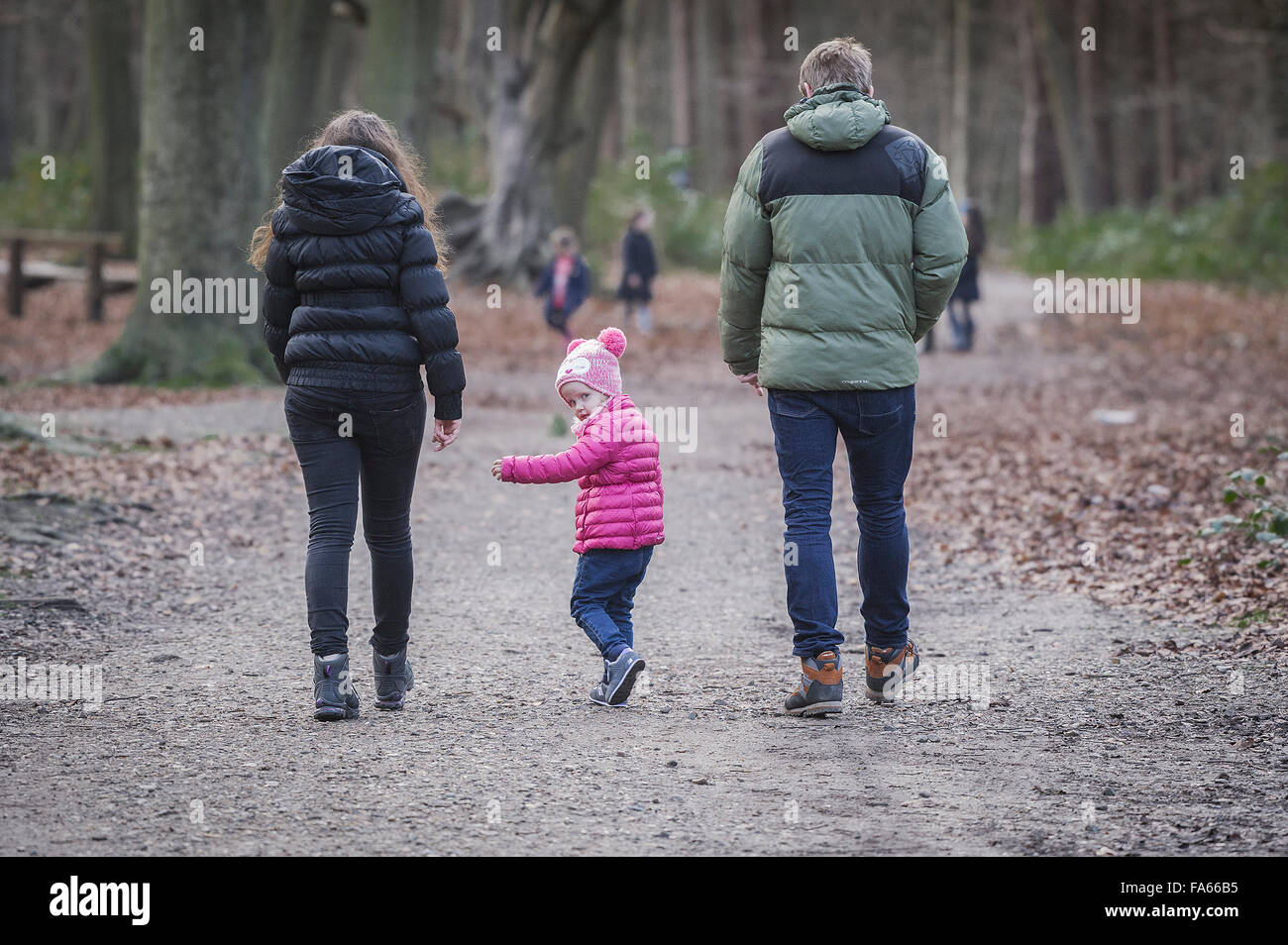 Une famille marche à travers une forêt d'automne Thorndon Park dans l'Essex, Angleterre, Royaume-Uni. Banque D'Images