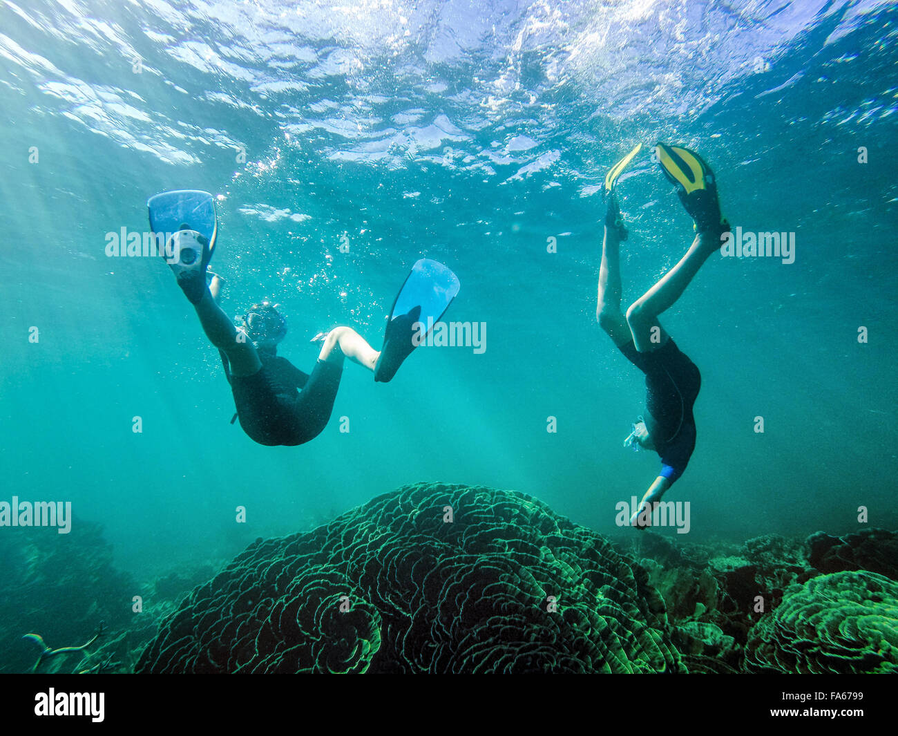 Boy and girl swimming underwater, Exmouth, Western Australia, Australia Banque D'Images