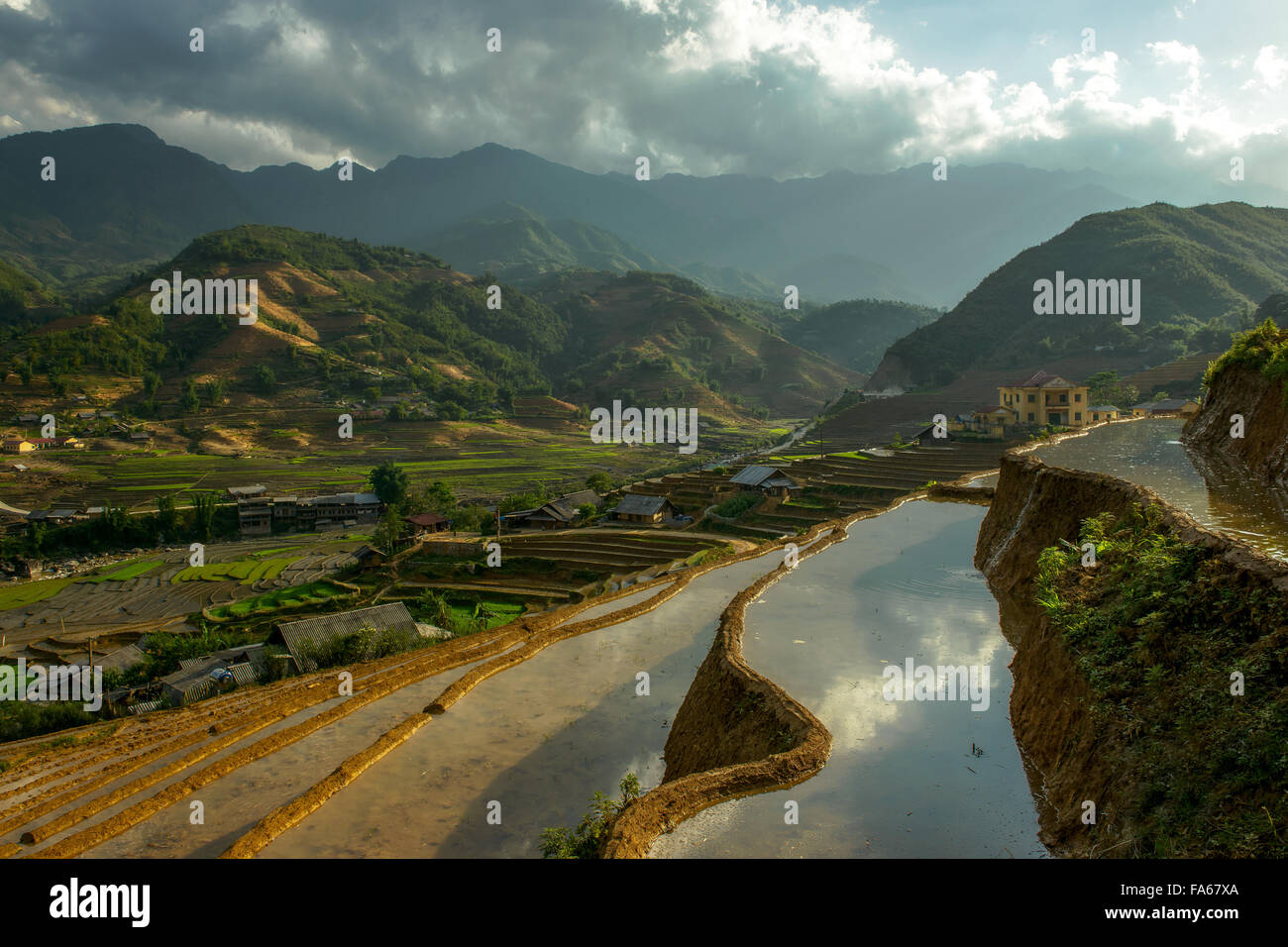 Terrasses de riz, SAPA, Vietnam Banque D'Images