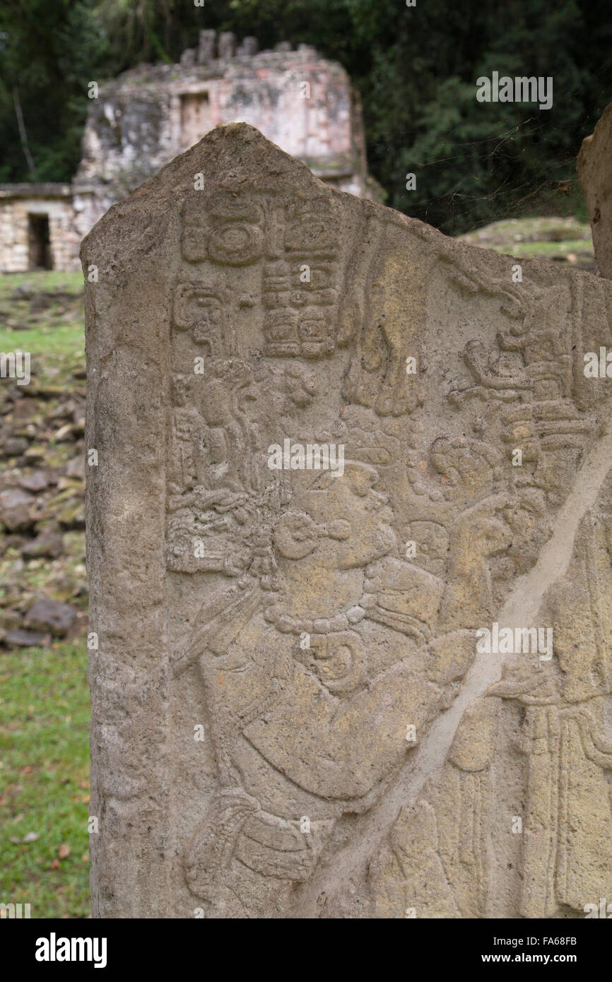 Zone archéologique de Yaxchilan, Stela 12, Chiapas, Mexique Banque D'Images