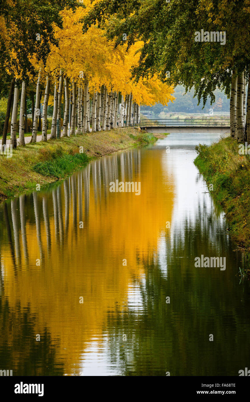 Rivière bordée d'arbres en automne, Gueldre, Pays-Bas Banque D'Images