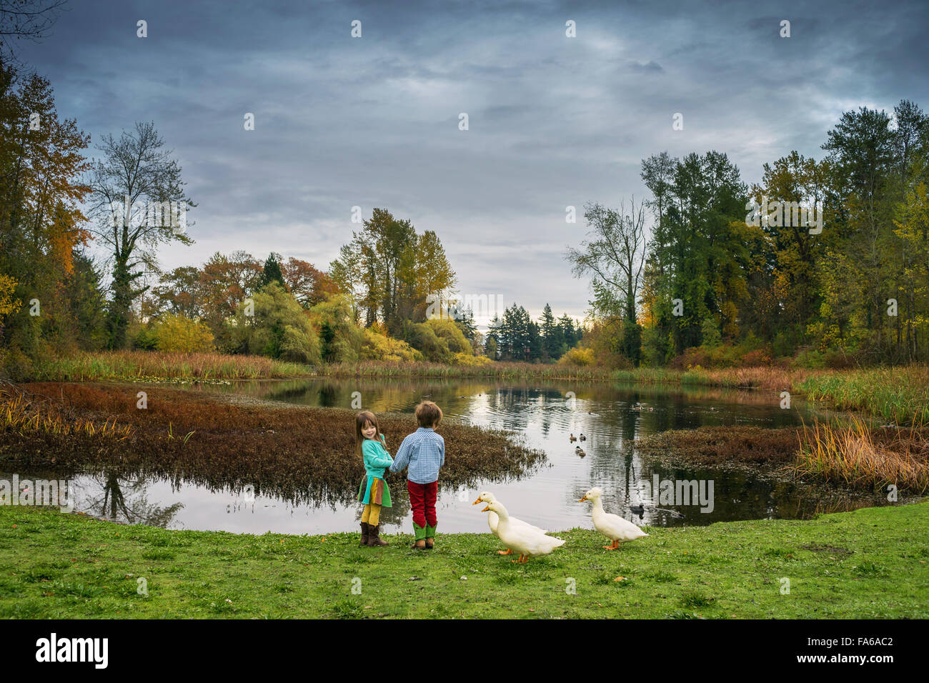 Fille et garçon debout près du lac avec trois canards Banque D'Images