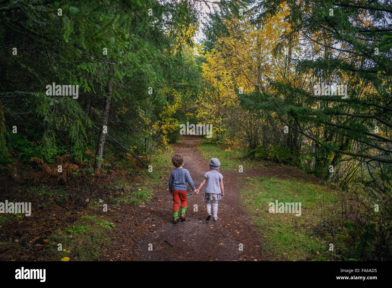 Vue arrière du garçon et fille qui marche à travers la forêt, se tenant la main Banque D'Images