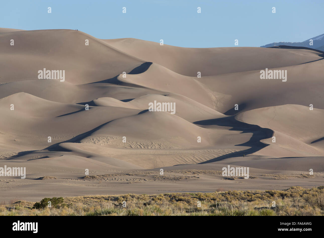 Great Sand Dunes National Park and Preserve, dunes de sable, Colorado, USA Banque D'Images