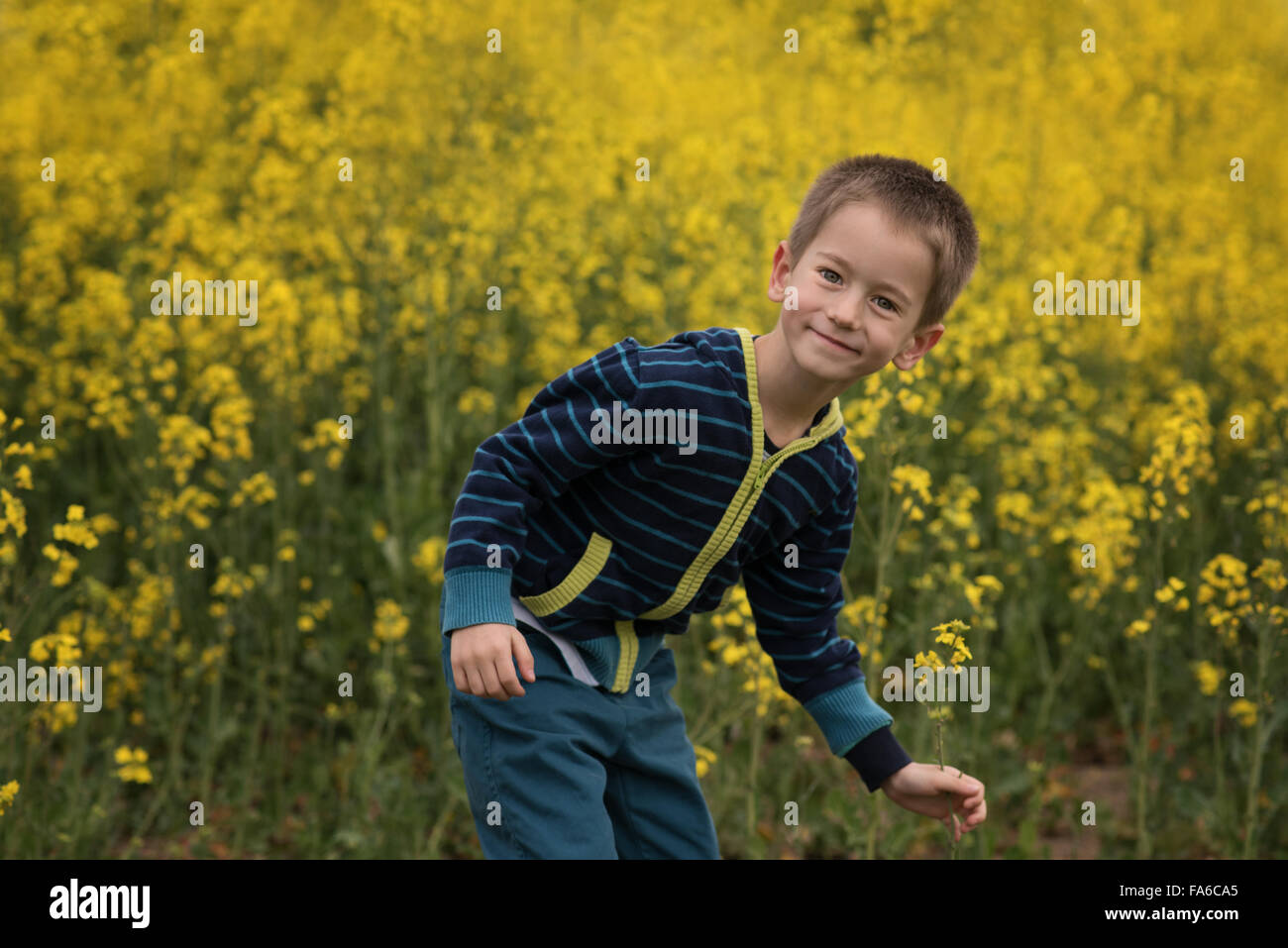 Smiling boy messing à propos de champ de colza Banque D'Images