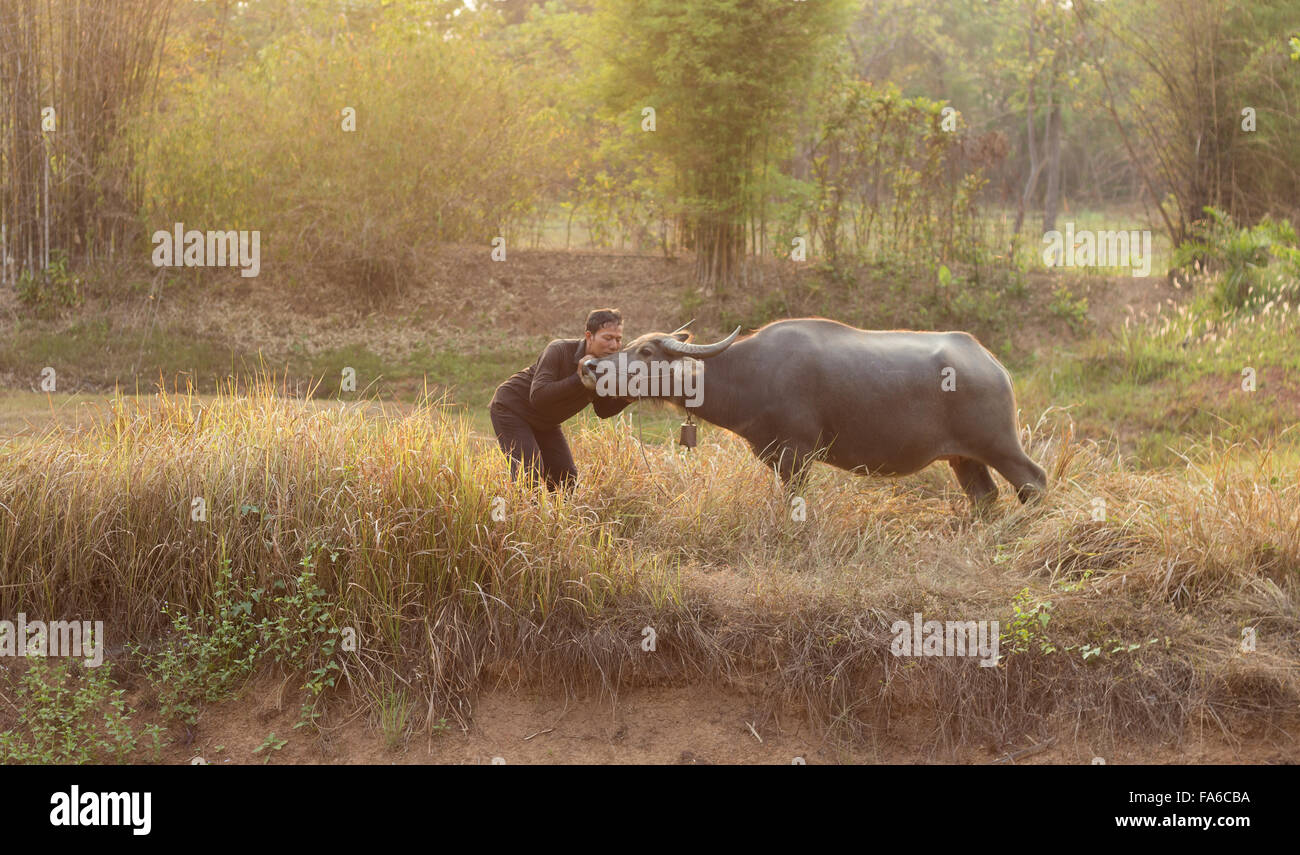 Agriculteur avec son buffle, Thaïlande Banque D'Images