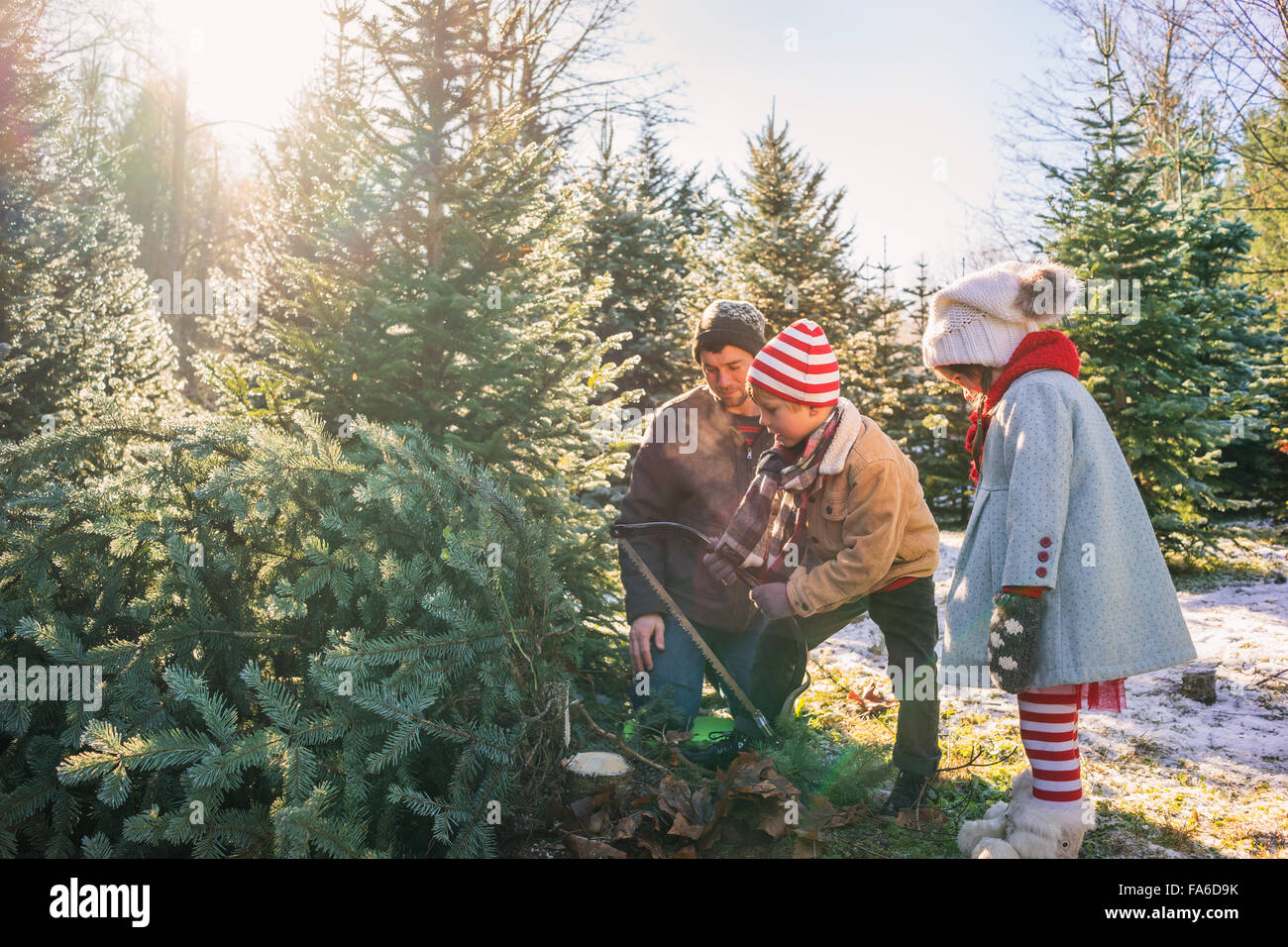 Jeune garçon coupe de Noël avec père et sa soeur Banque D'Images