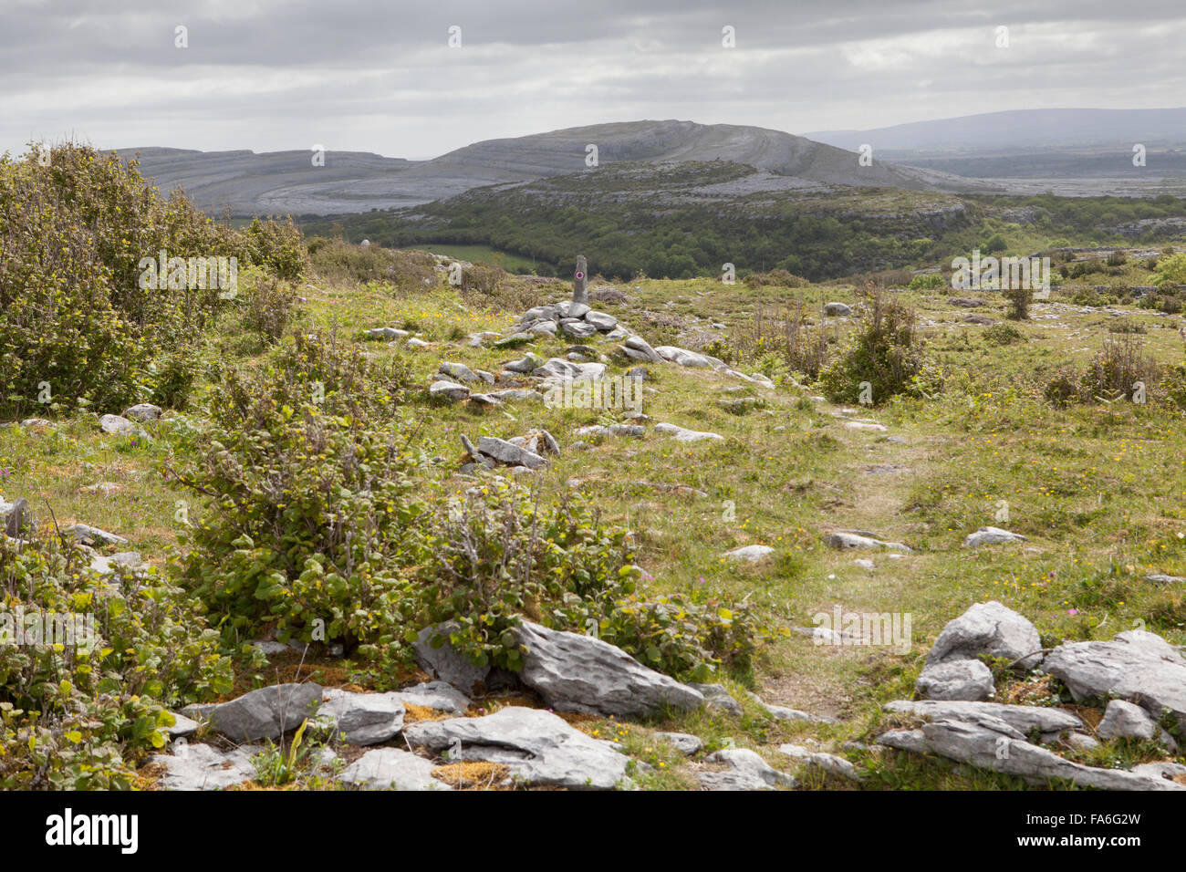 Un sentier vert sur la boucle de Mullaghmore promenade dans le Burren, comté de Clare, Irlande Banque D'Images