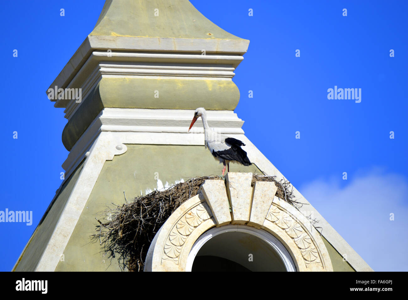 La nidification de la cigogne sur le toit de l'enceinte de la vieille ville de Faro Banque D'Images La nidification de la cigogne sur le toit de l'enceinte de la vieille ville de Faro Banque D'Images