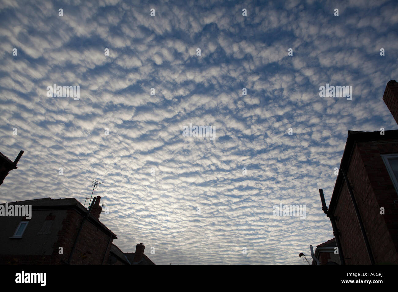 La formation de nuages Altocumulus undulatus est connu comme un ciel de maquereau Banque D'Images