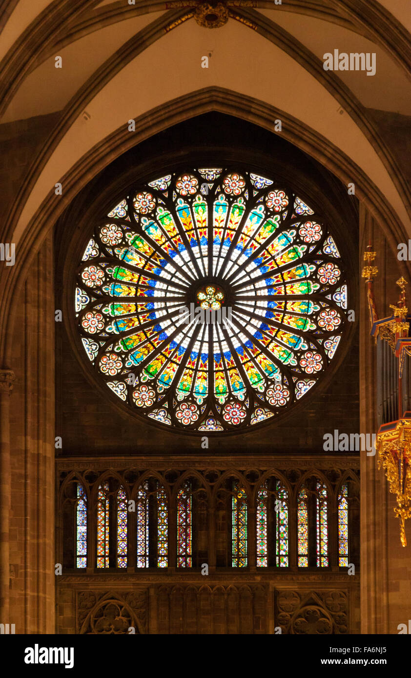 La Rose, vitrail, à l'intérieur de la cathédrale de Strasbourg, Strasbourg, France Europe Banque D'Images