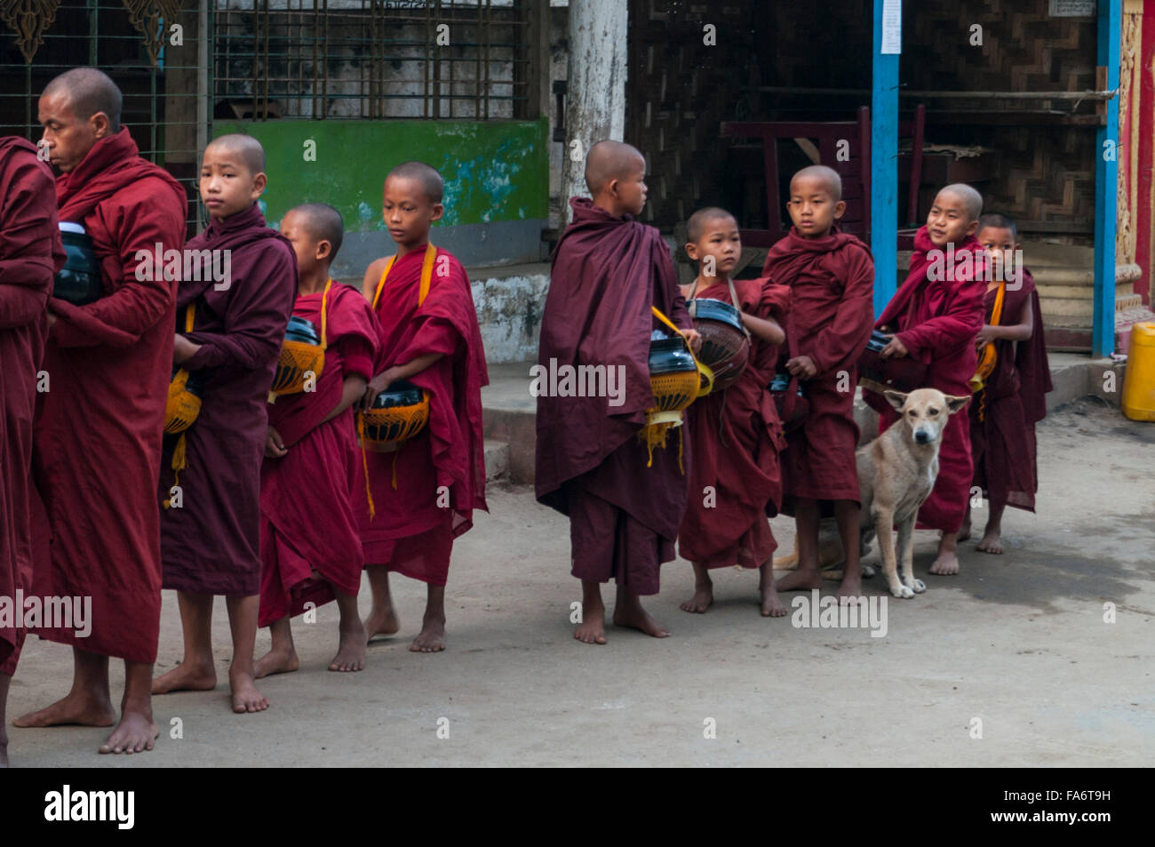 Groupe de jeunes moines bouddhistes de l'aumône la queue ronde pour l'alimentation l'aumône à Shwe Kyet village encore, Région de Mandalay, Myanmar. Banque D'Images