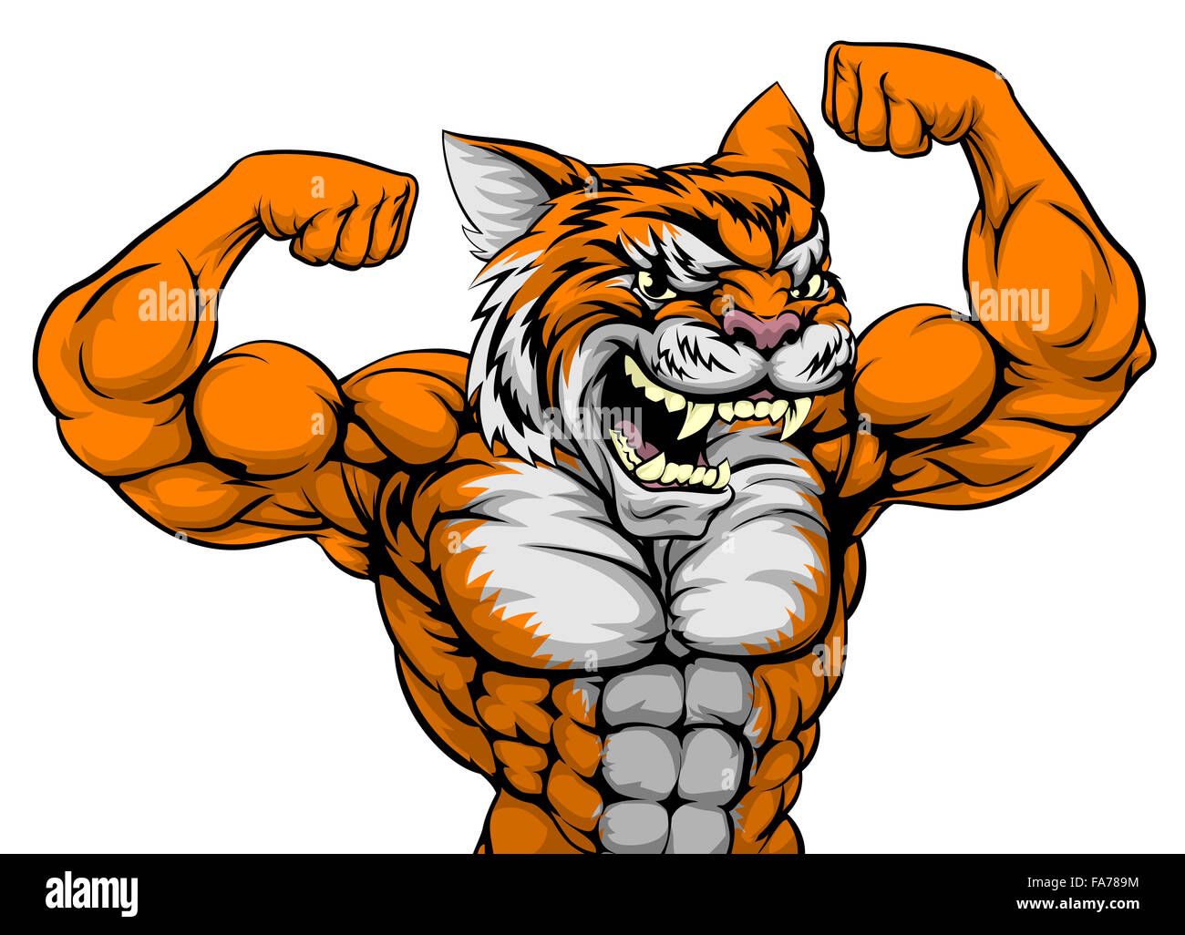 Un tigre mascotte sports animaux exhibant son gros muscles biceps Photo  Stock - Alamy
