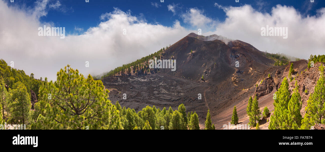 Paysage volcanique le long de la Ruta de los Volcanes sur La Palma, Îles Canaries, Espagne. Banque D'Images