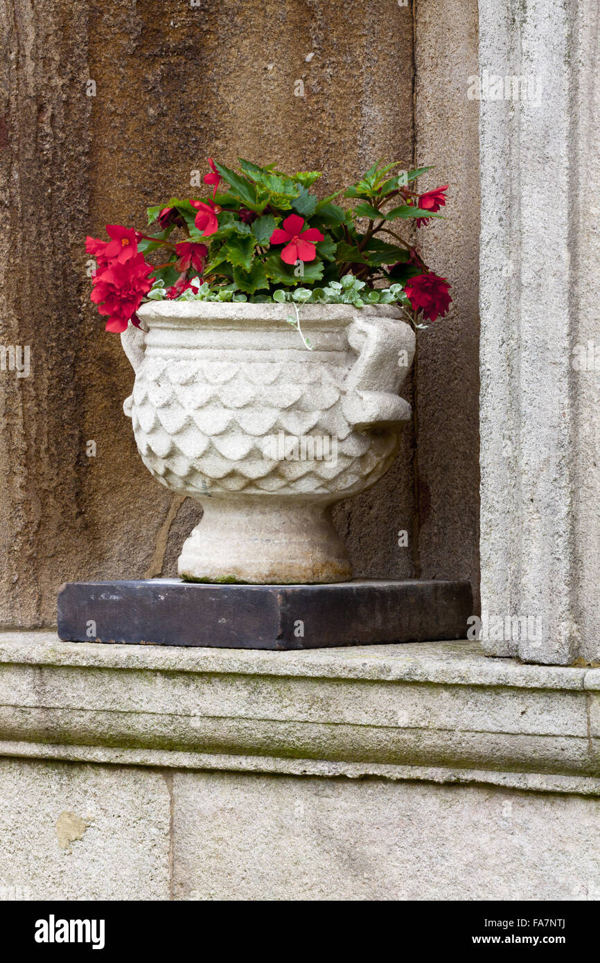Détail de l'urne dans une niche à l'extérieur de l'Orangerie à Lyme Park, Cheshire. Banque D'Images