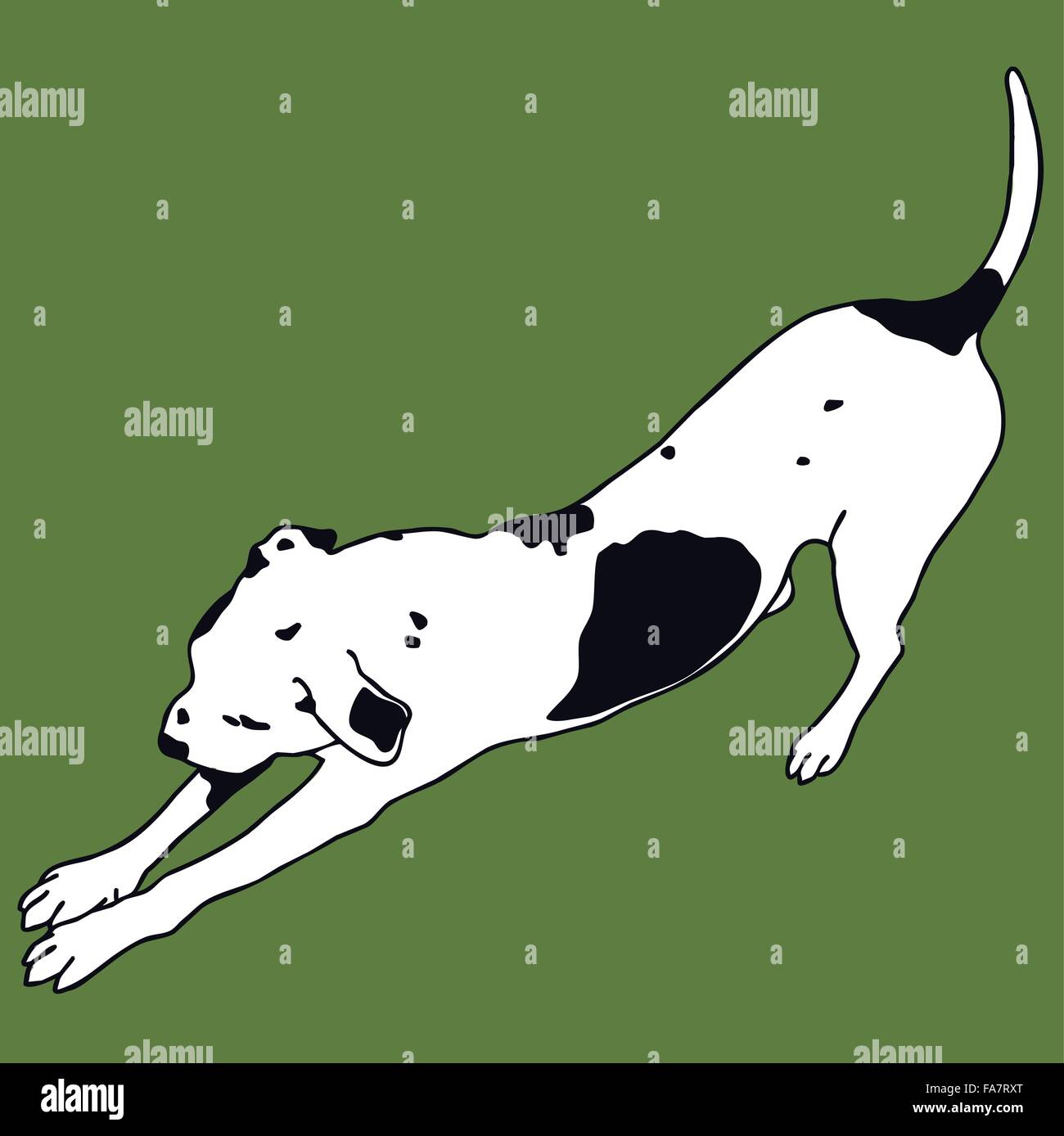 Smart Chien Noir Et Blanc Sur Fond De Couleur Le Meilleur