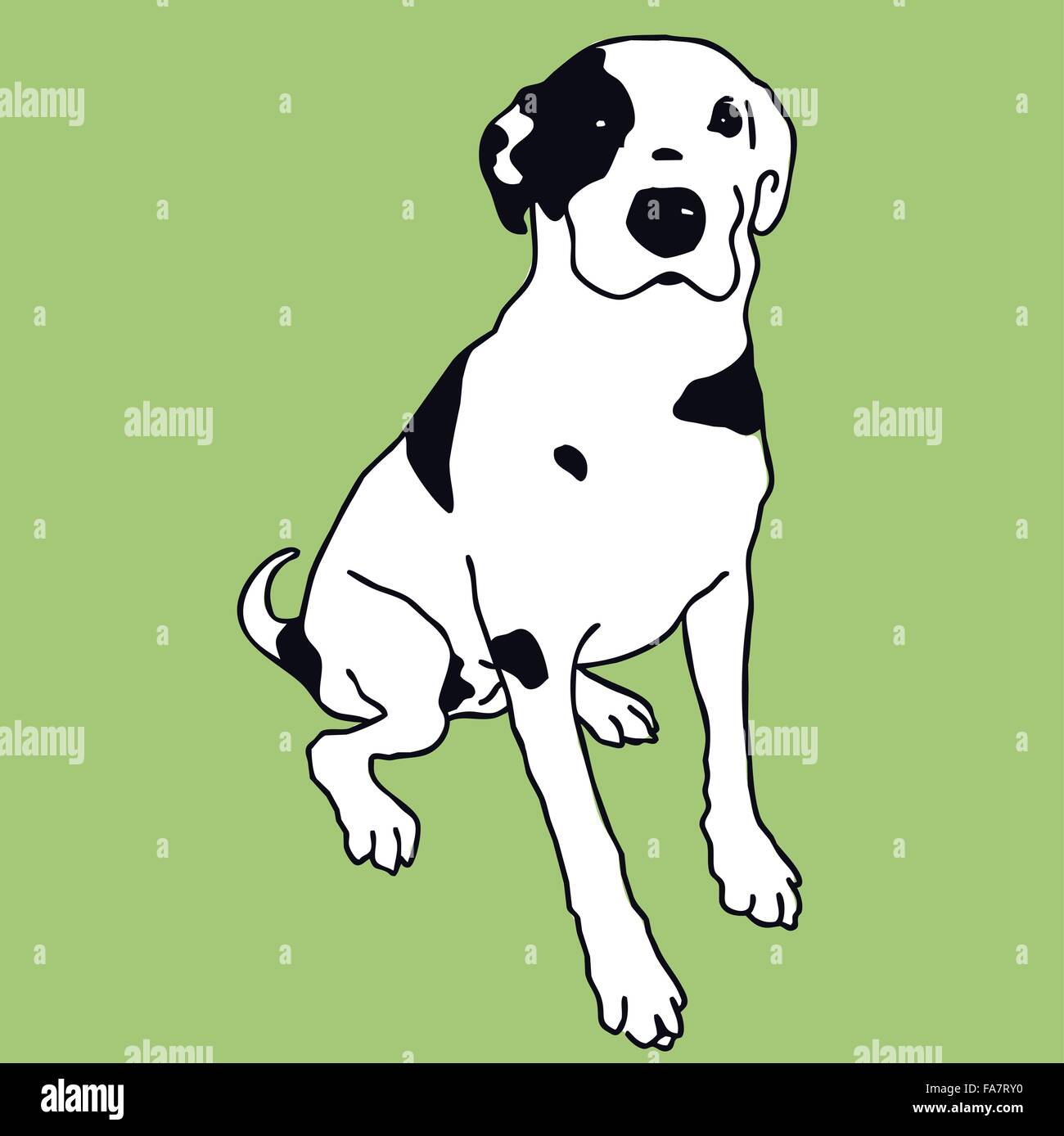 Smart chien noir et blanc sur fond de couleur. Le meilleur ami de l'homme, darling blot - aplatir illustration vecteur principal isolé. Illustration de Vecteur