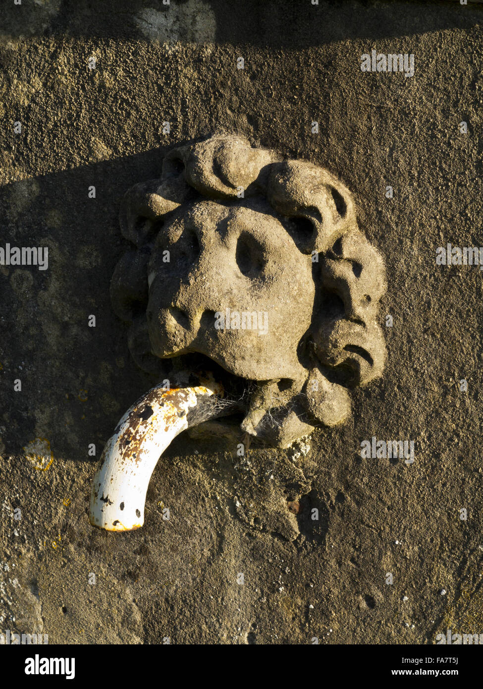 Détail de la pompe à eau en forme de tête de lion sur la place du village au hameau de Blaise à Bristol. Banque D'Images