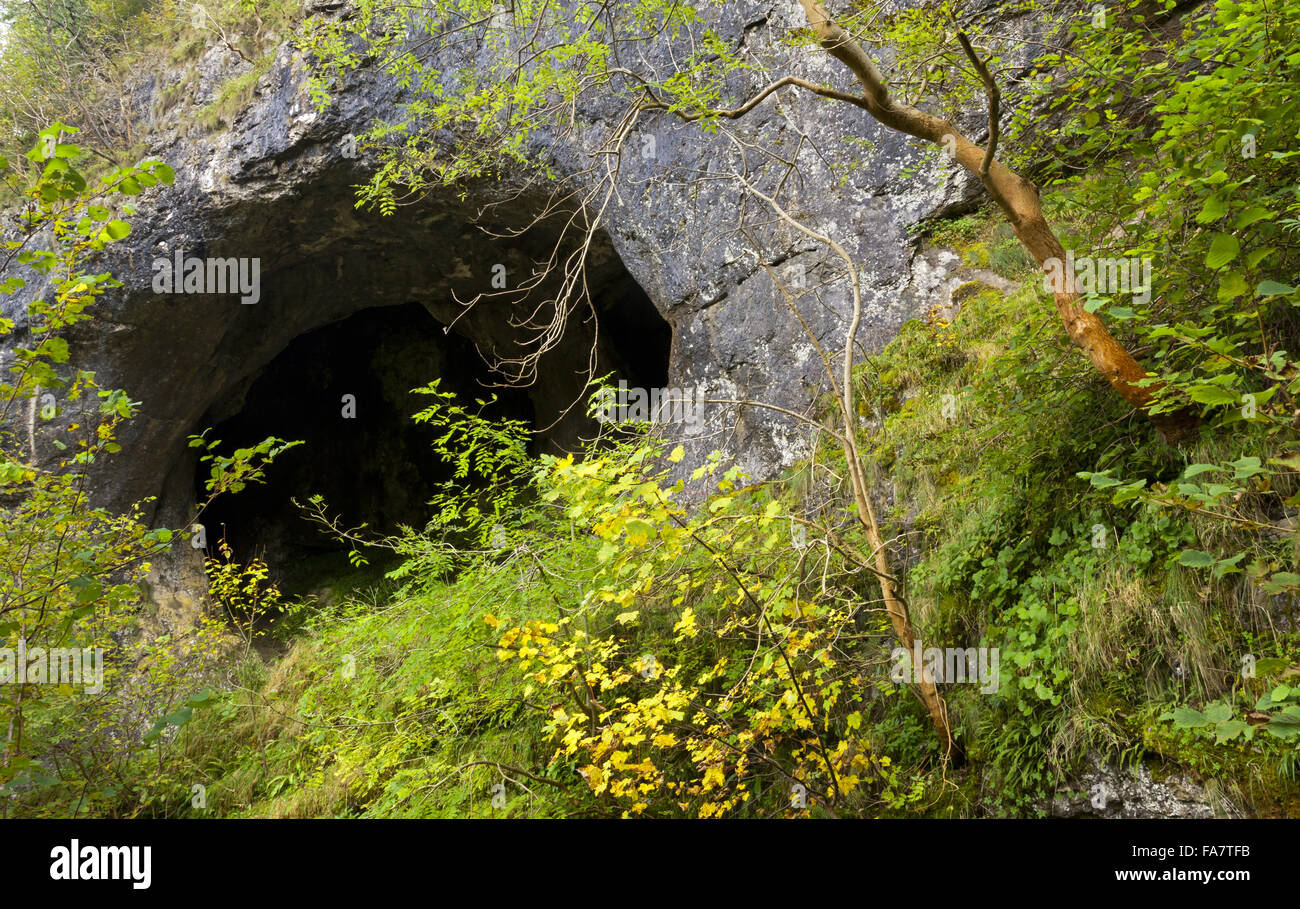 Entrée de la grotte à Milldale Trous Dove, South Peak Estate, Derbyshire, en automne. Banque D'Images