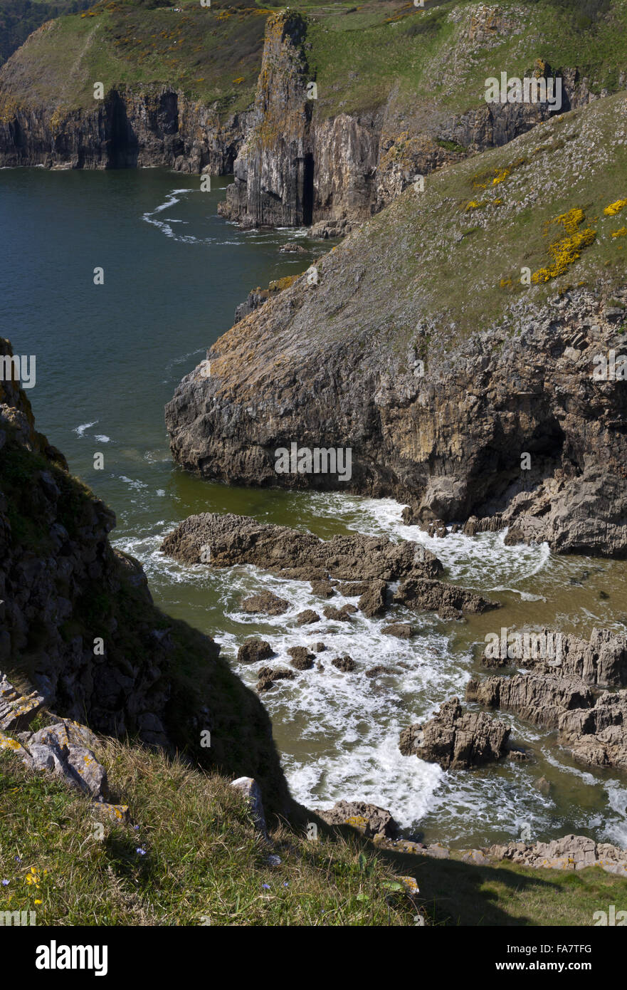 Vue sur les falaises à Lydstep Pointe à Pembrokeshire, Pays de Galles. Banque D'Images