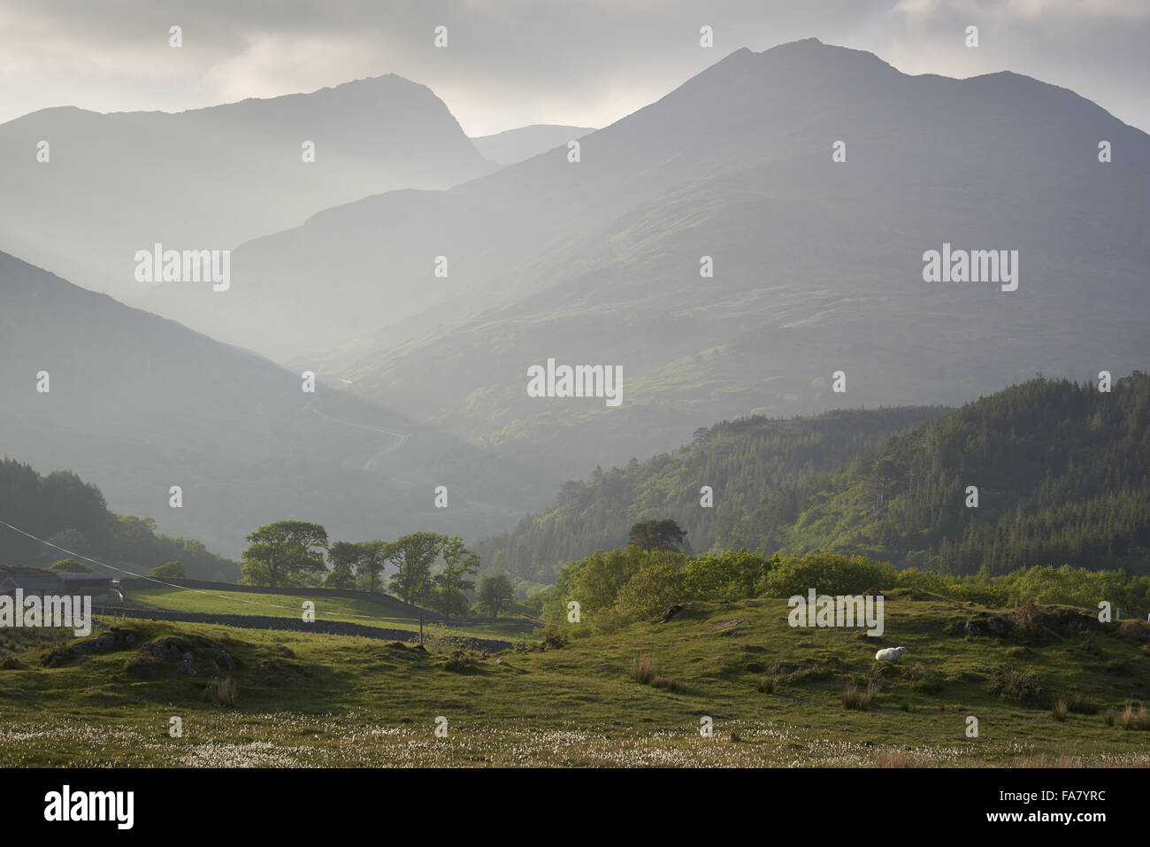 Snowdon et pics prises auxiliaires du sud avec Hafod y Llançà estate dans la distance au Parc National de Snowdonia. Banque D'Images