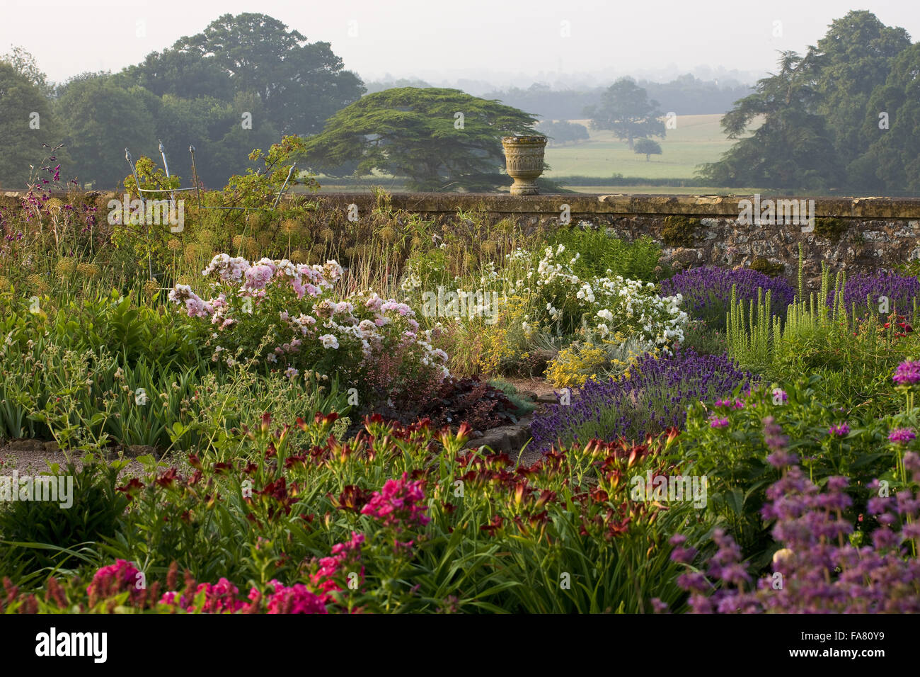 Terrasse herbacée à Devon, Killerton en juillet montrant roses, lavande, des hémérocalles, des urnes et des parcs au-delà. La terrasse a été proposé par l'architecte Henry Protheroe en 1900 et achevée à la recommandations de William Robinson en 1905. Banque D'Images