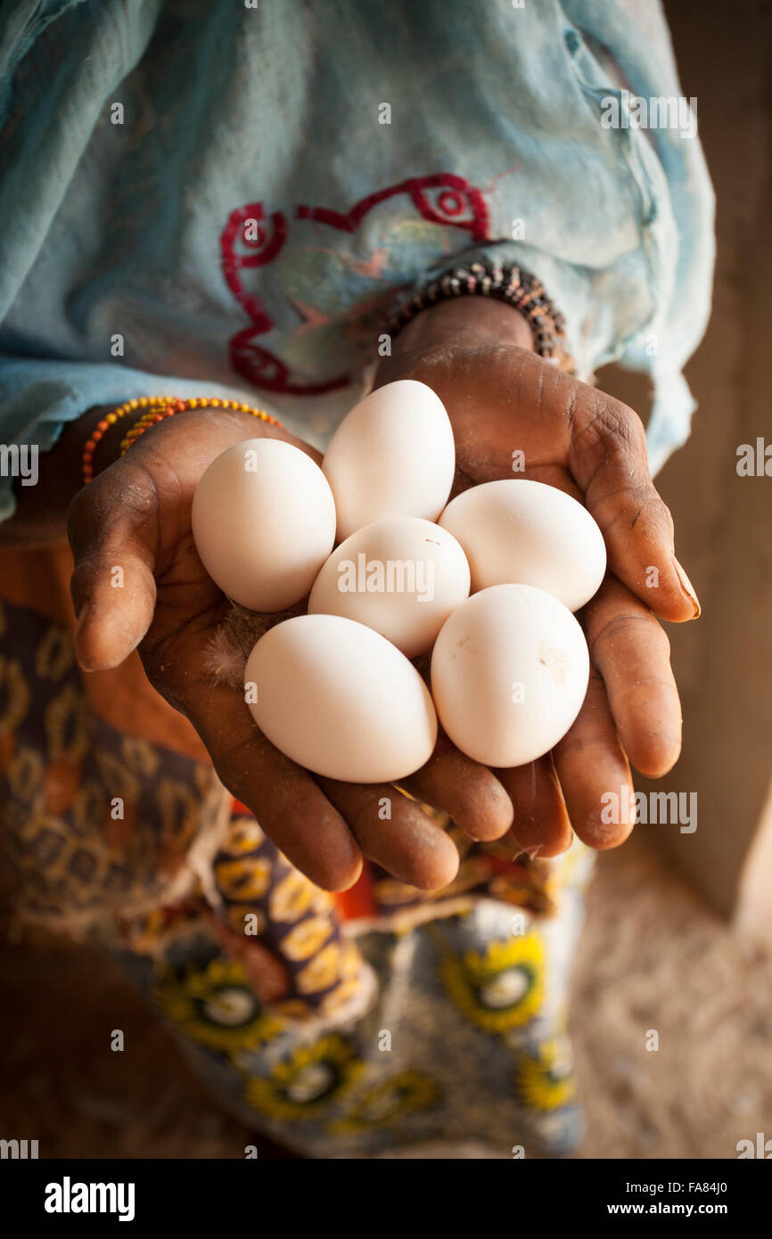 Une femme est titulaire d'un des oeufs frais pondus par ses poules à Tengréla, village du Burkina Faso. Banque D'Images