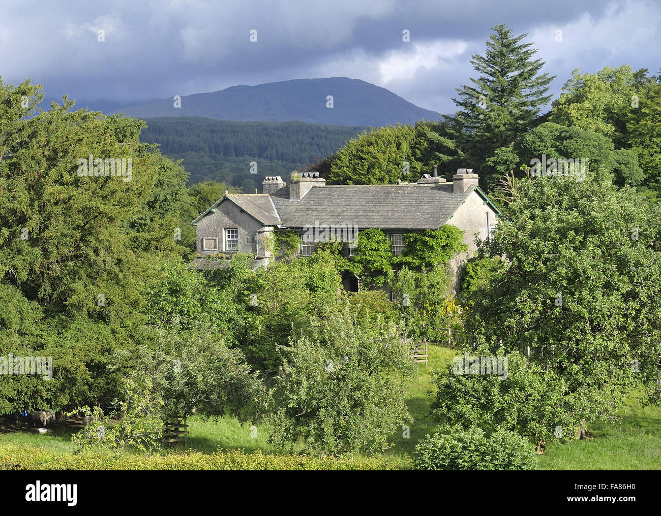 Hill Top, Cumbria. Une fois la maison de Beatrix Potter, Hill Top's Garden est un mélange aléatoire de fleurs, herbes, fruits et légumes. Banque D'Images