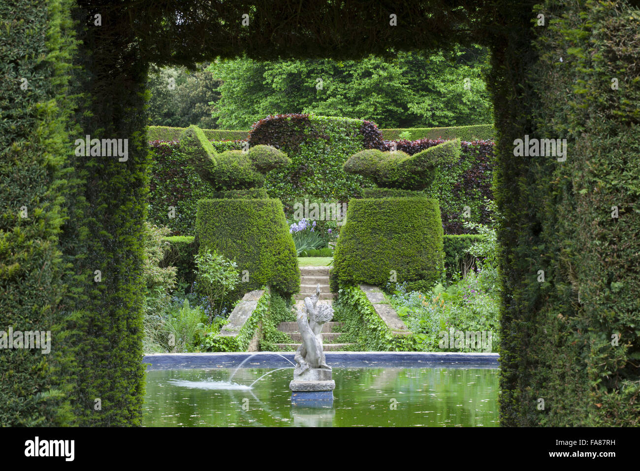 Topiaires d'If les oiseaux à l'entrée de la Piscine Jardin de Hidcote, Gloucestershire, en mai. Banque D'Images