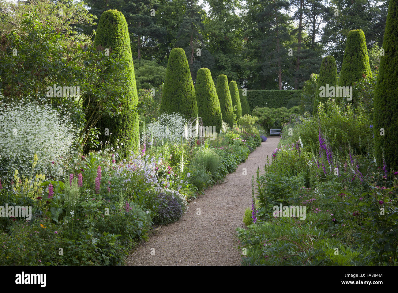 Crambe cordifolia, lupins et digitales dans le long des frontières au Hidcote, Gloucestershire, en juin. Banque D'Images