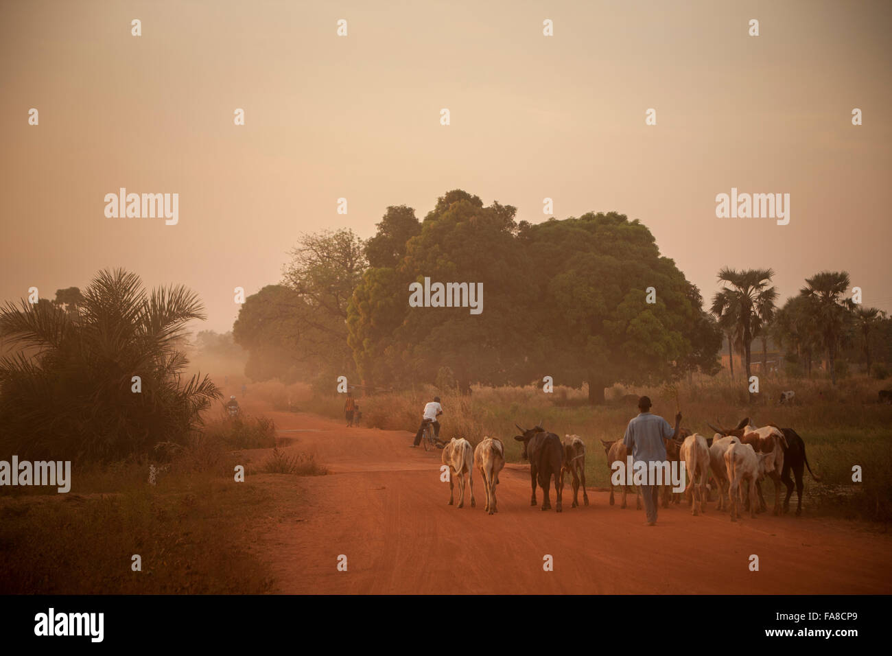 Le soleil se couche dans le village de Tengréla près de Banfora, Burkina Faso. Banque D'Images