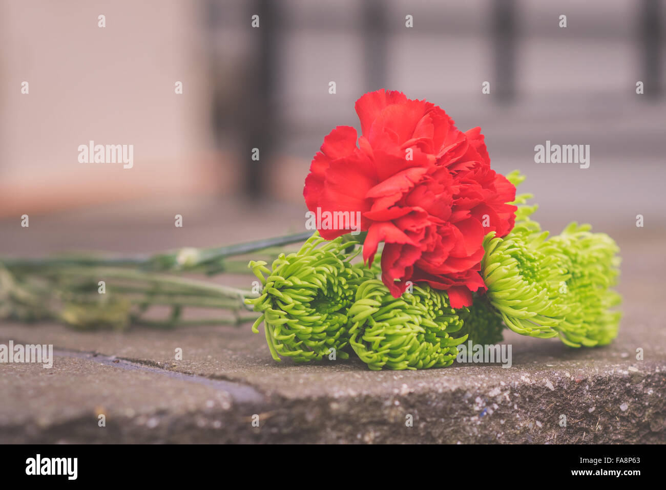 Petit rouge et vert bouquet. Banque D'Images