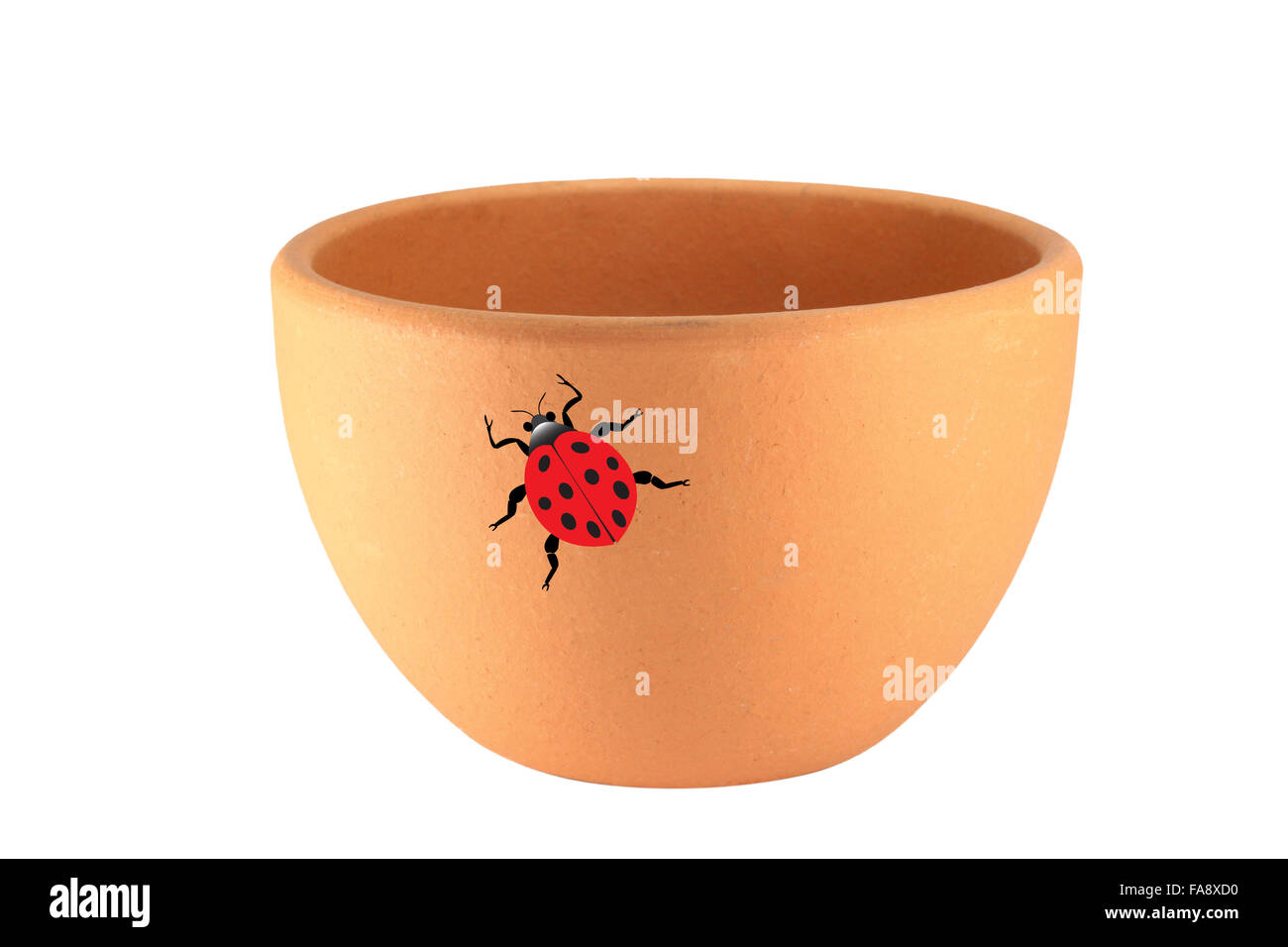 Pot en argile avec lady bug on a white background Banque D'Images