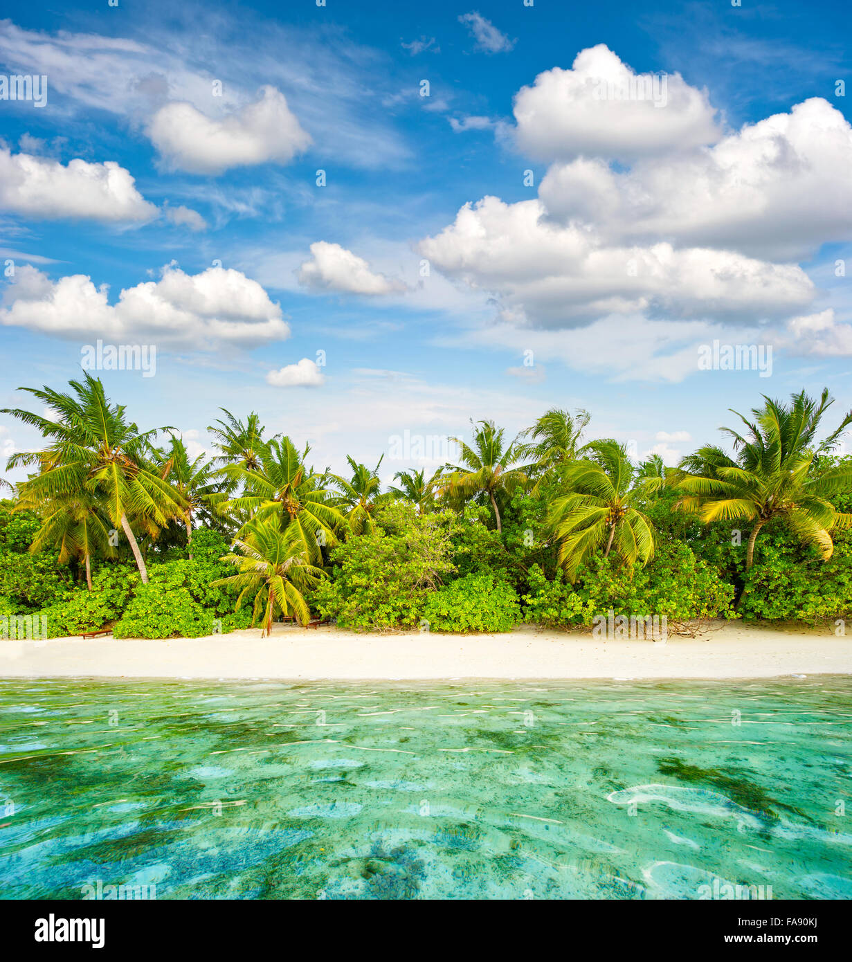 Plage de sable fin. Palmiers. Ciel nuageux Ciel bleu. Paysage de l'île tropicale Banque D'Images