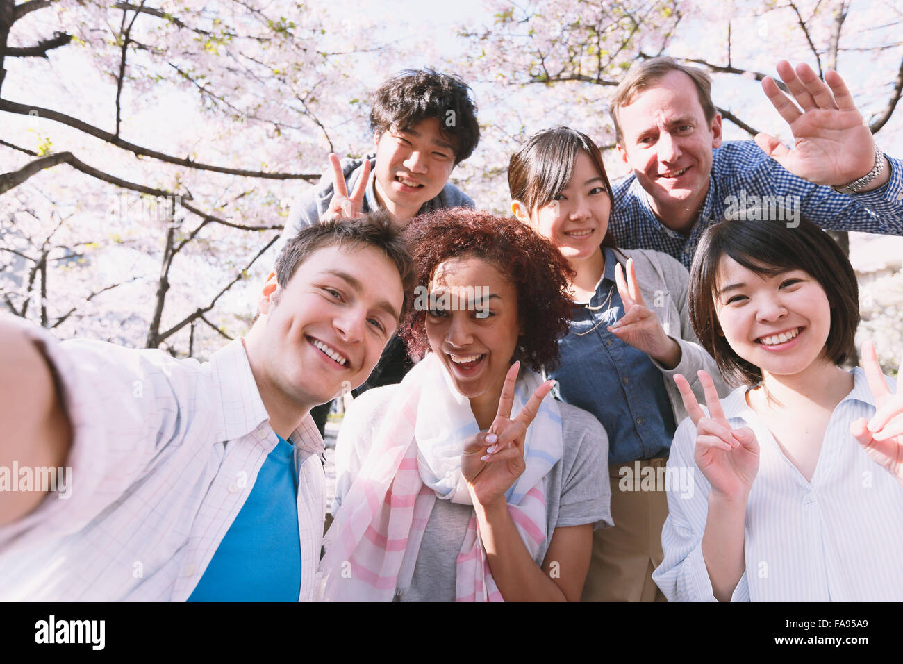 Multi-ethnic group of friends enjoying cerisiers en fleur à Tokyo Banque D'Images