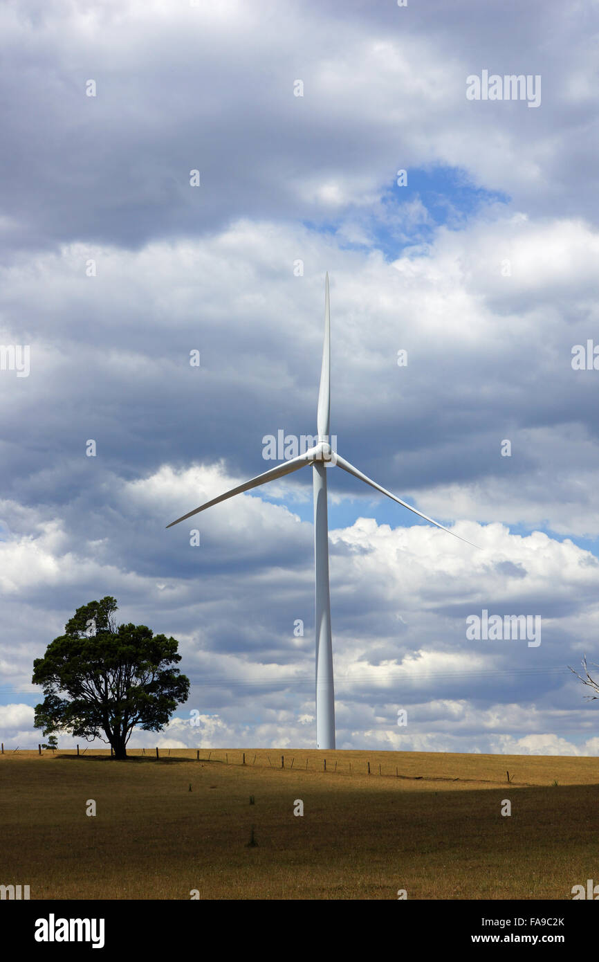 Aérogénérateur et alternative, l'éco technologie ferme éolienne sur un  champ à Victoria, en Australie. Inclut des plans rapprochés de pales de  turbine éolienne Photo Stock - Alamy