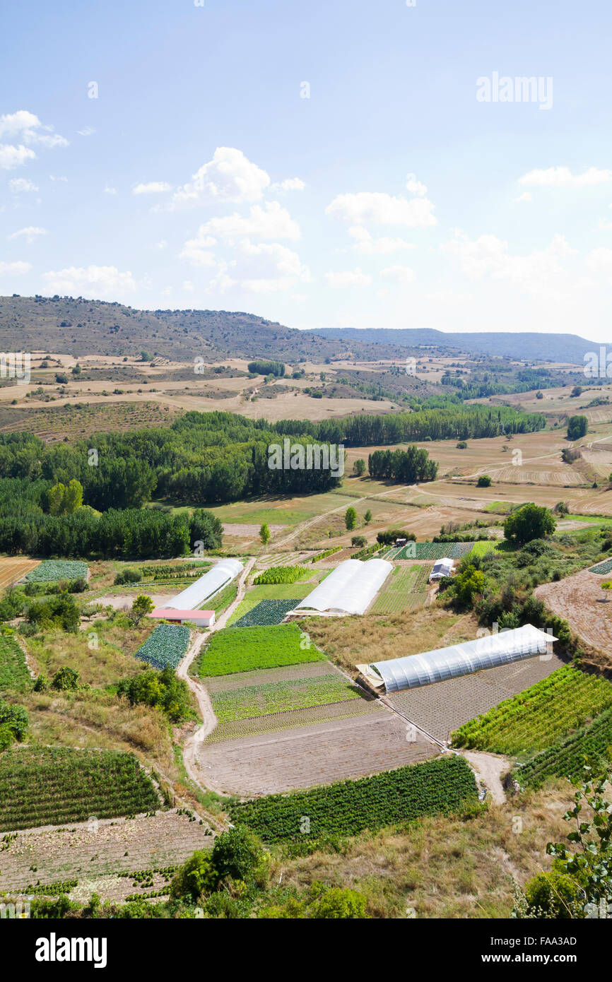 Les terres cultivées dans un paysage rural, Brihuega, Espagne Banque D'Images