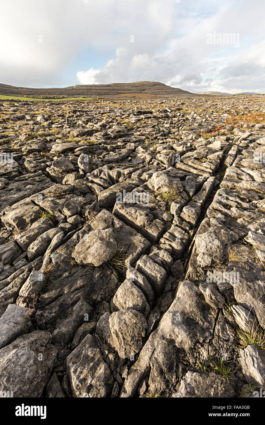 Pavé calcaire sur le Burren, dans le comté de Co. Clare, Irlande Banque D'Images