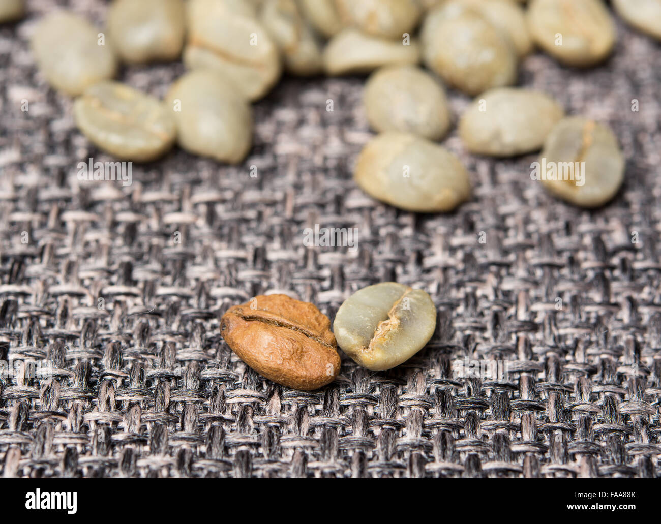 La dispersion des grains de café vert Banque D'Images