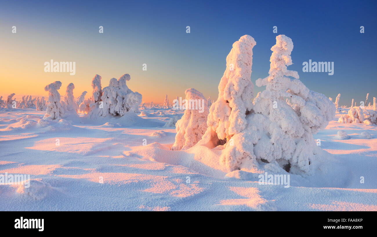 Paysage d'hiver dans les montagnes de Karkonosze, Montagne Szrenica, Pologne Banque D'Images